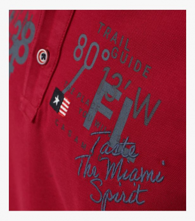 Tricou polo bumbac barbati CASA MODA "Sunshine State" visiniu [5]