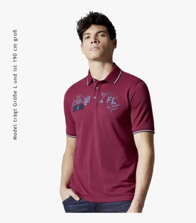 Tricou polo bumbac barbati CASA MODA "Sunshine State" visiniu [6]
