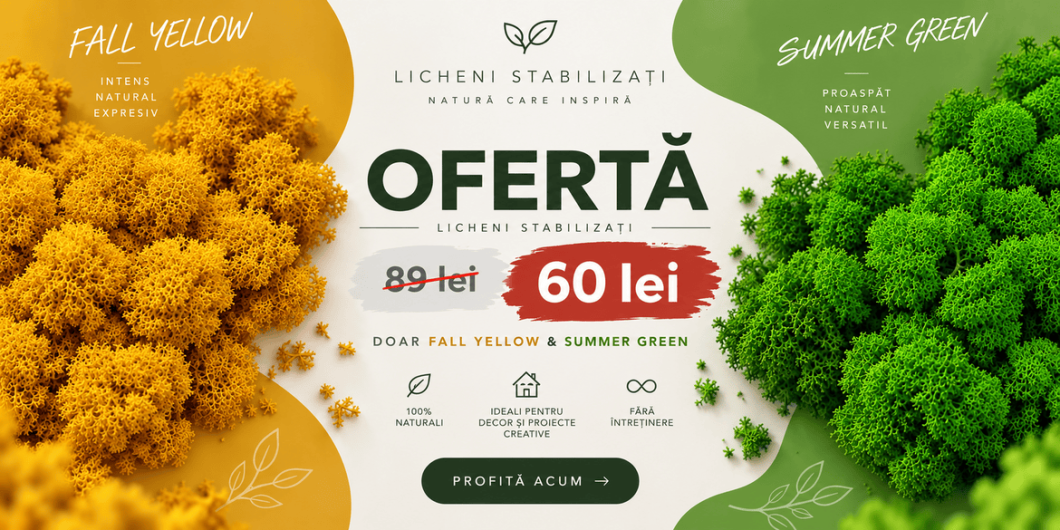 OFERTA 1