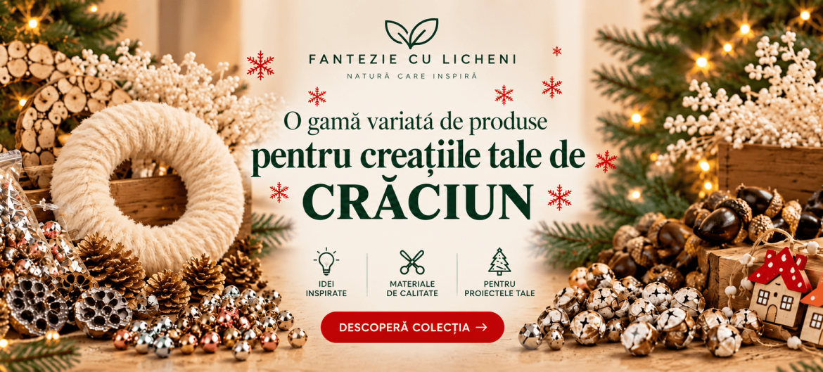 OFERTA 3