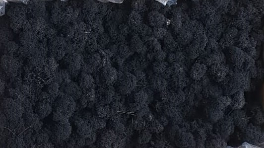 Licheni Black Polar [1]
