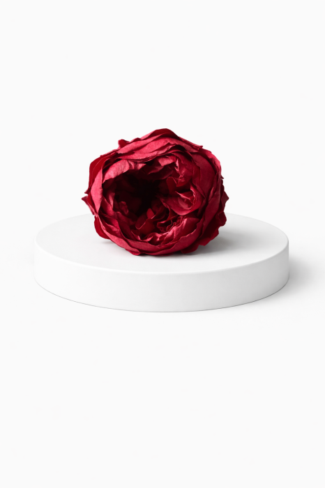 Bujor stabilizat natural – floare decorativă pentru interior [2]