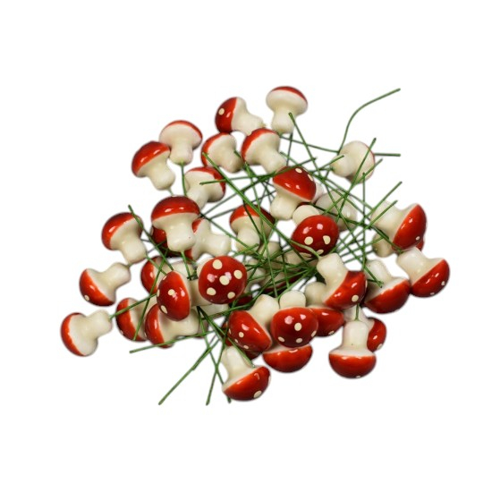 Ciupercute decor [1]