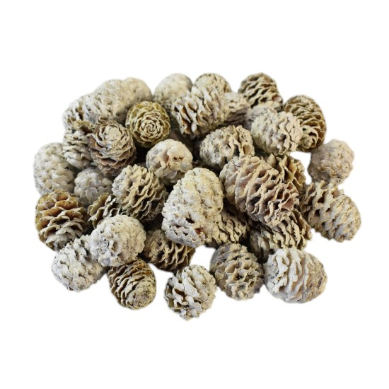 Conuri Meridianum albite [2]