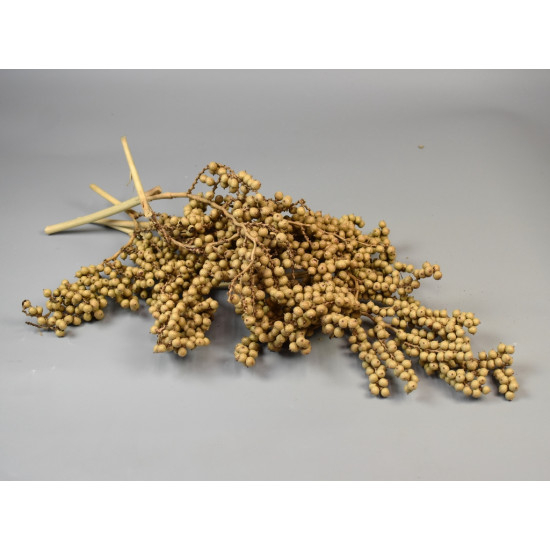 Crengute canella festiv [1]