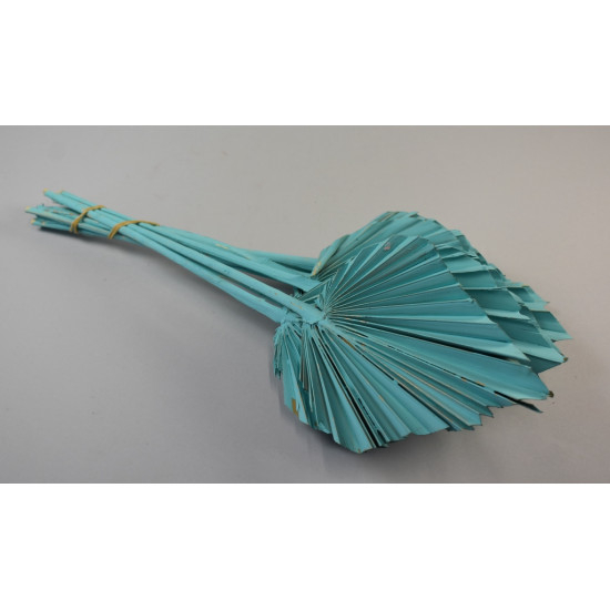 Frunze palmier medi [3]