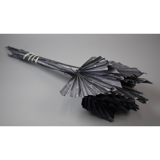 Frunze palmier medi [2]