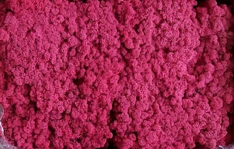 Licheni Rosu carmin 250 grame [1]