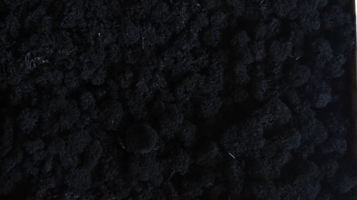 Licheni Black [1]