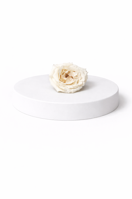 Trandafir criogenat Majolica – floare stabilizată naturală [3]