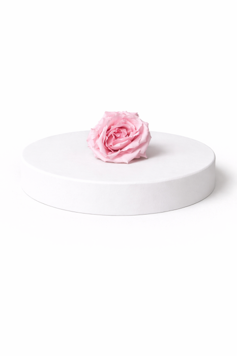 Trandafir criogenat Majolica – floare stabilizată naturală [5]