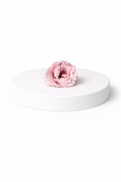 Trandafir criogenat Majolica – floare stabilizată naturală [2]