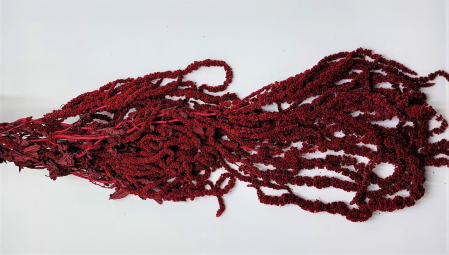 Plante uscate mari - Amaranthus HU