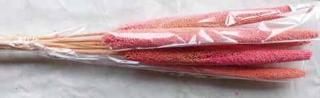 Plante uscate mari - babala