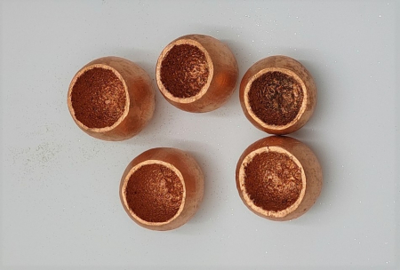 Flori de lemn - Bell cup 5 cm