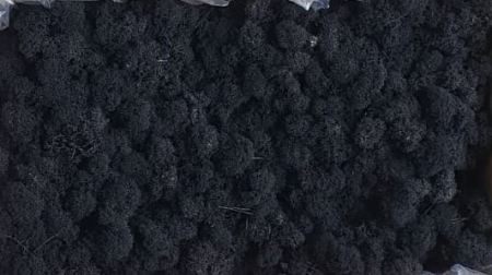 Licheni premium Polar - Licheni Black Polar