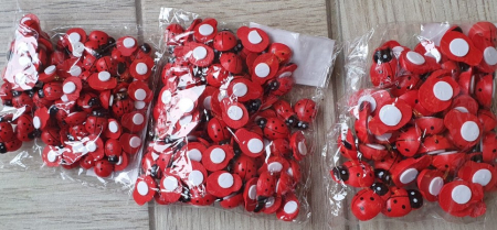 Accesorii - Buburuze set