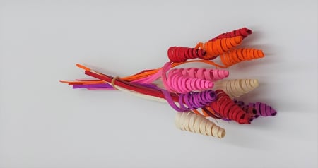 Plante uscate mari - Cane cone mini