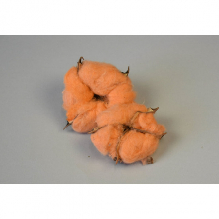 Bumbac - Cap Floare Bumbac Peach