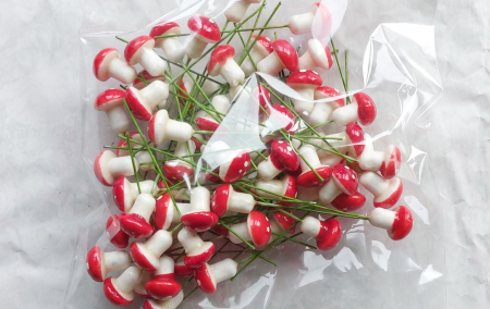 Accesorii - Ciupercute decor