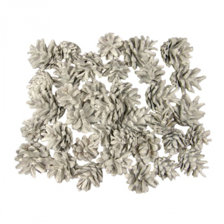 Craciun - Conuri pin mici albite