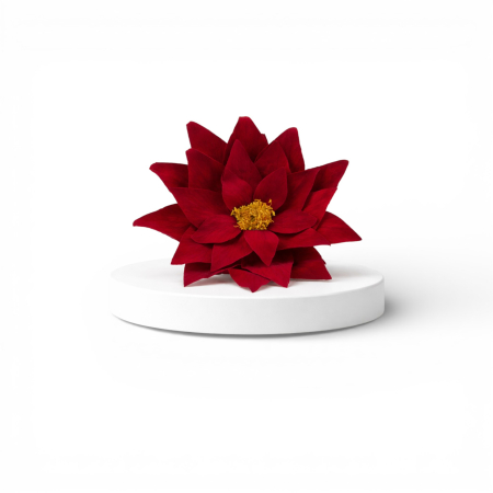 Trandafiri criogenati - Crăciuniță stabilizată naturală – floare stabilizată naturală