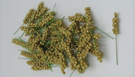 Plante uscate si conuri - Crengute coacaze
