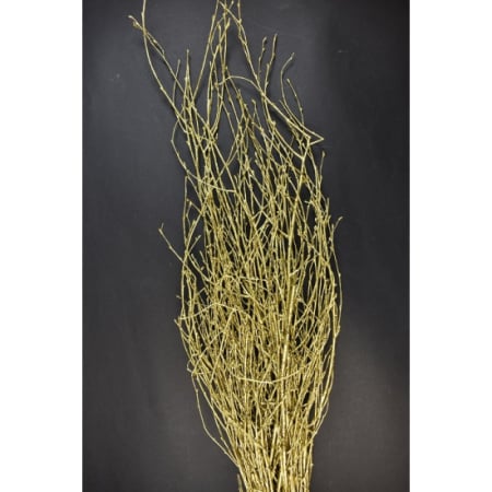 Plante uscate mari - Crengute de lemn auriu