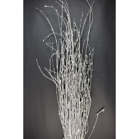 Plante uscate mari - Crengute de lemn argintiu