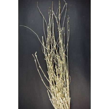 Plante uscate mari - Crengute de lemn sampanie