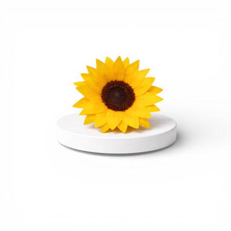 Flori stabilizate - Floarea soarelui criogenată – floare stabilizată naturală