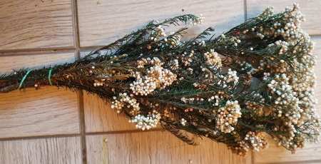 Plante uscate - flori de orez