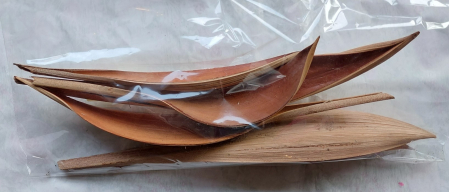Plante uscate mici - frunze cocos