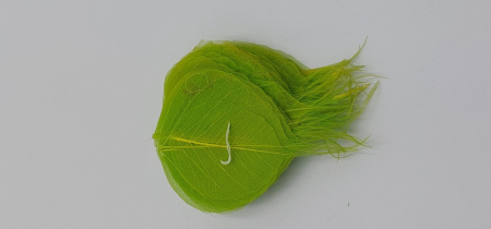 Plante uscate mici - Frunze transparente