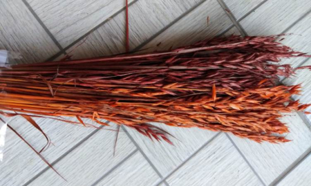 Plante uscate mari - Ovaz