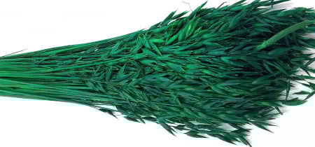 Plante uscate - Ovaz