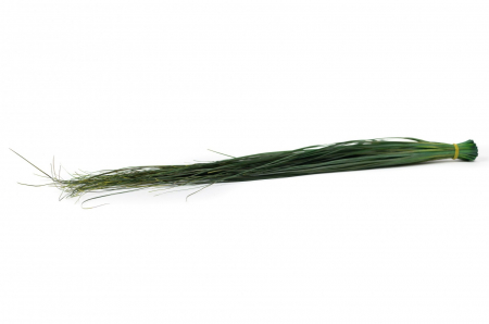 Plante & frunze - Bear grass