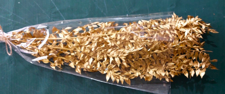 Craciun - Ruscus festiv