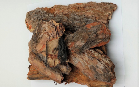 Plante uscate mici - Scoarta copac