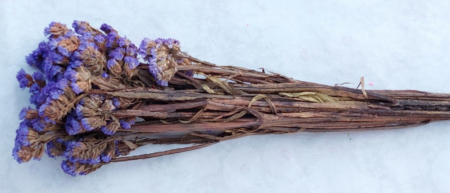 Plante uscate mari - Plante Limonium uscate