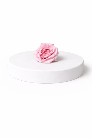 Trandafir criogenat Majolica – floare stabilizată naturală [4]