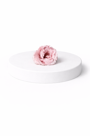 Trandafir criogenat Majolica – floare stabilizată naturală [1]