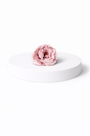 Trandafiri criogenati - Trandafir criogenat Majolica – floare stabilizată naturală