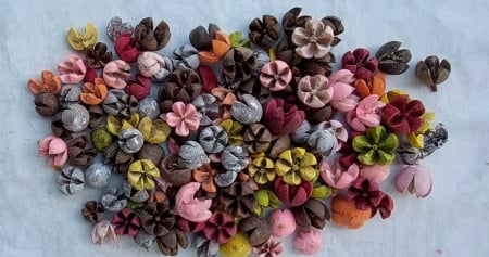 Plante uscate mici - Tulipan mix