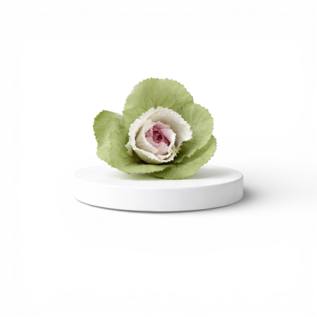 Trandafiri criogenati - Varză ornamentală stabilizată – floare stabilizată naturală