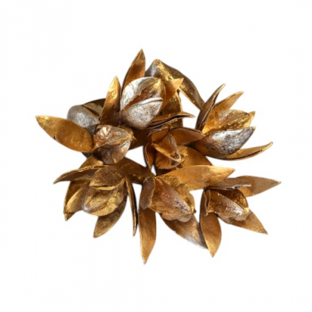 Plante uscate si conuri - Wild lily festiv