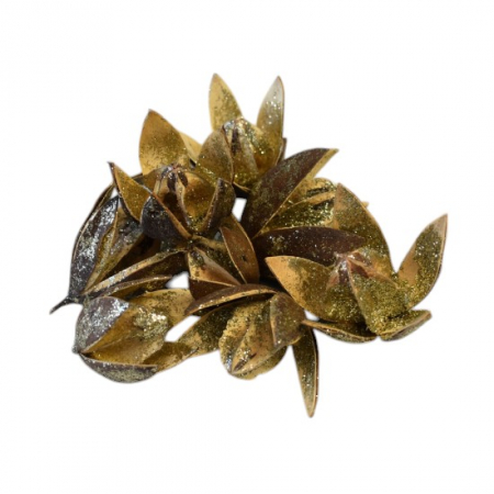 Craciun - Wild lily festiv