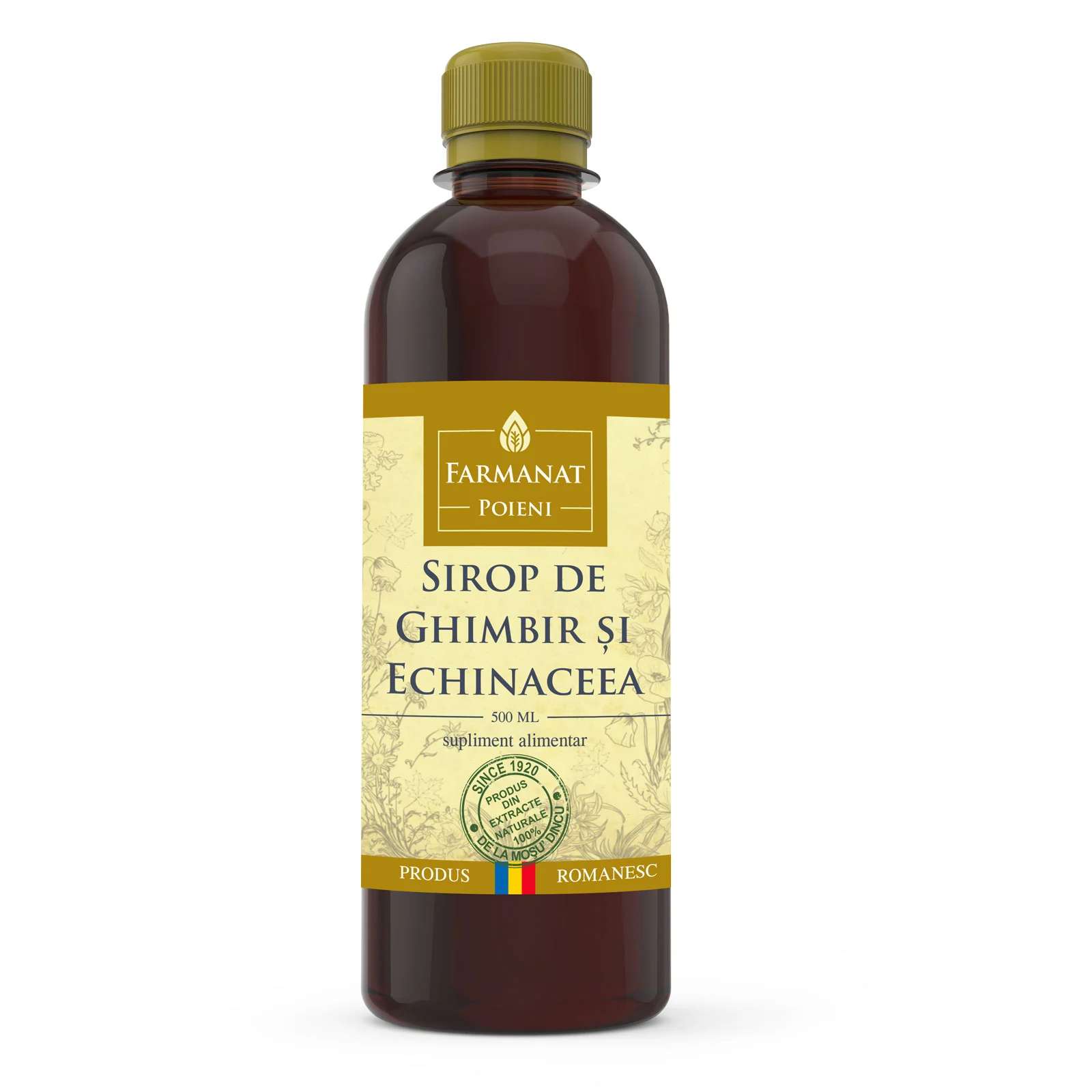 3. produse pentru imunitate - sirop de ghimbir si echinaceea