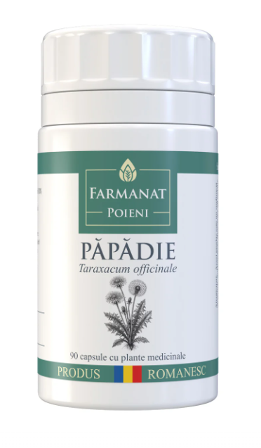 4. Capsule medicinale Păpădie 90 buc