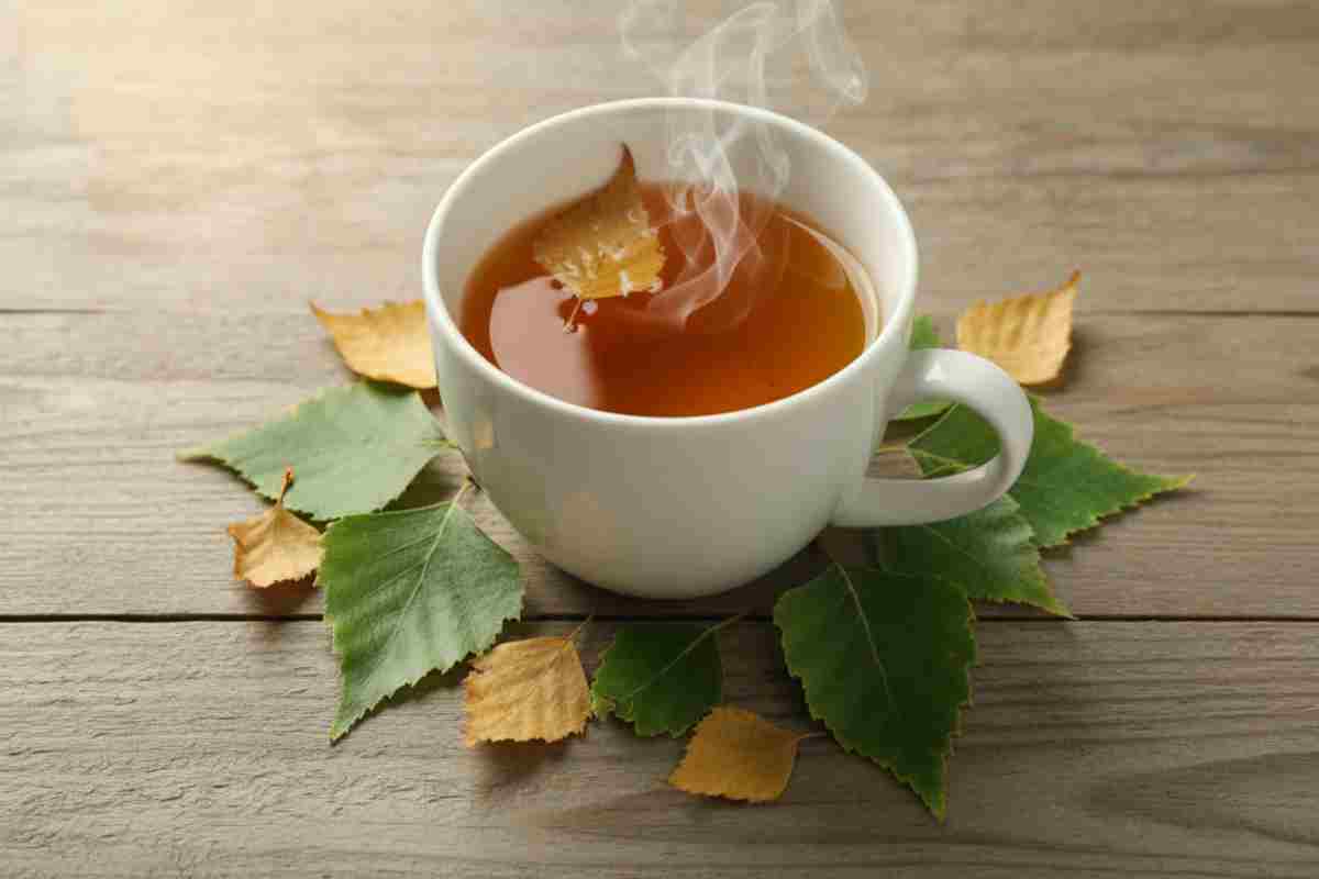 4. Ceai de mesteacan si utilizarea frunzelor_Ceai aromat din frunze de mesteacan cu frunze proaspete si uscate